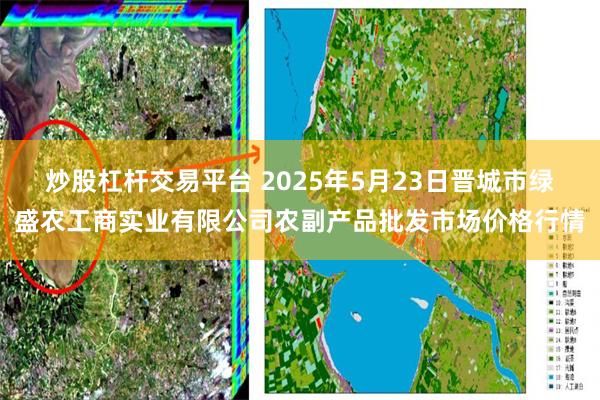 炒股杠杆交易平台 2025年5月23日晋城市绿盛农工商实业有限公司农副产品批发市场价格行情