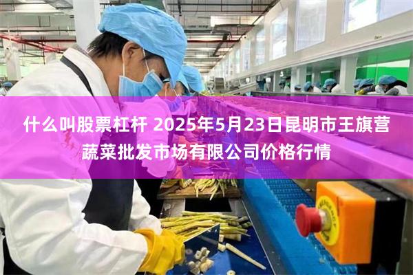 什么叫股票杠杆 2025年5月23日昆明市王旗营蔬菜批发市场有限公司价格行情