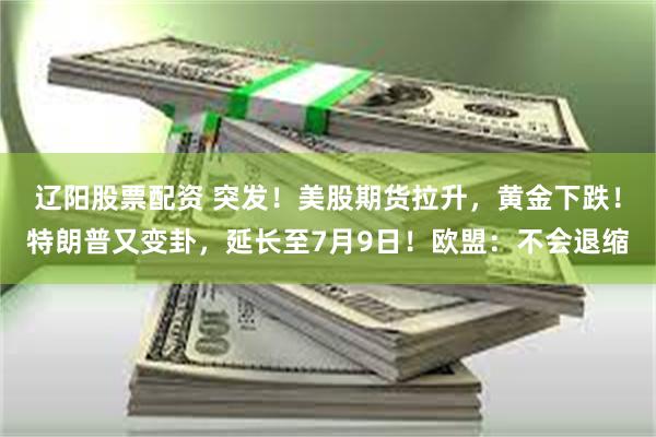 辽阳股票配资 突发！美股期货拉升，黄金下跌！特朗普又变卦，延长至7月9日！欧盟：不会退缩