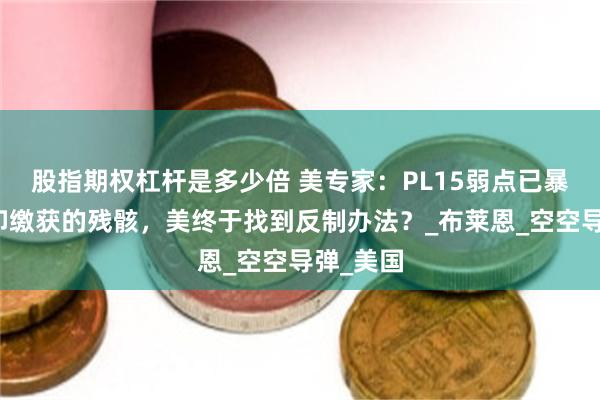 股指期权杠杆是多少倍 美专家：PL15弱点已暴露，凭印缴获的残骸，美终于找到反制办法？_布莱恩_空空导弹_美国