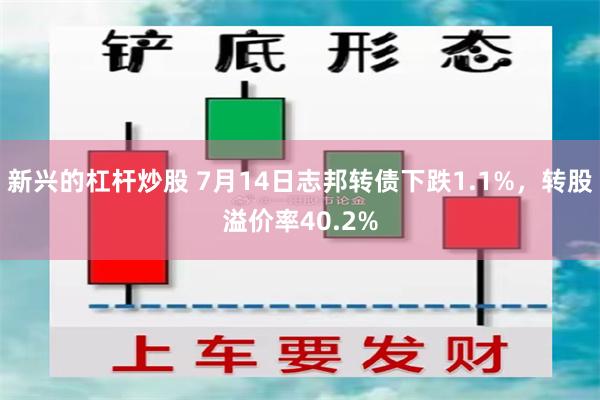 新兴的杠杆炒股 7月14日志邦转债下跌1.1%，转股溢价率40.2%