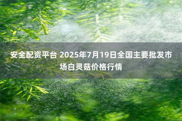 安全配资平台 2025年7月19日全国主要批发市场白灵菇价格行情