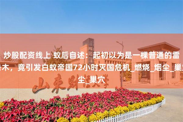 炒股配资线上 蚁后自述：起初以为是一棵普通的雷击木，竟引发白蚁帝国72小时灭国危机_燃烧_烟尘_巢穴