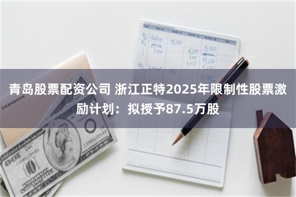 青岛股票配资公司 浙江正特2025年限制性股票激励计划：拟授予87.5万股