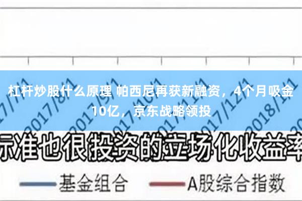 杠杆炒股什么原理 帕西尼再获新融资，4个月吸金10亿，京东战略领投