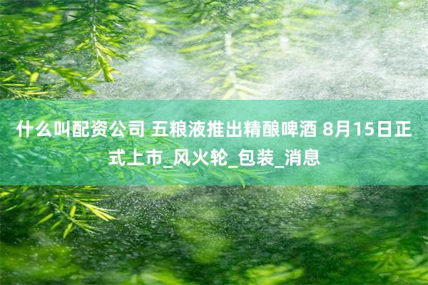 什么叫配资公司 五粮液推出精酿啤酒 8月15日正式上市_风火轮_包装_消息