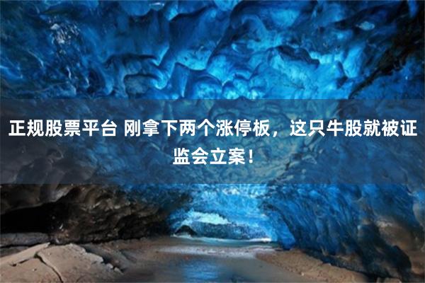 正规股票平台 刚拿下两个涨停板，这只牛股就被证监会立案！