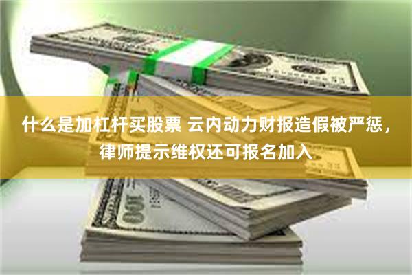 什么是加杠杆买股票 云内动力财报造假被严惩，律师提示维权还可报名加入