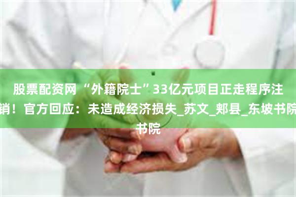 股票配资网 “外籍院士”33亿元项目正走程序注销！官方回应：未造成经济损失_苏文_郏县_东坡书院
