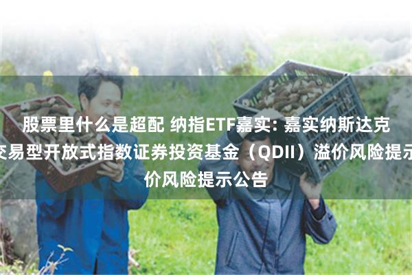 股票里什么是超配 纳指ETF嘉实: 嘉实纳斯达克100交易型开放式指数证券投资基金(QDII)溢价风险提示公告