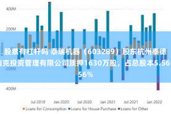 股票有杠杆吗 泰瑞机器（603289）股东杭州泰德瑞克投资管理有限公司质押1630万股，占总股本5.56%