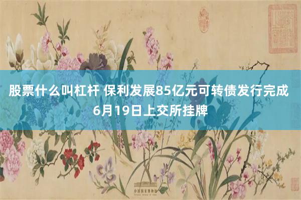 股票什么叫杠杆 保利发展85亿元可转债发行完成 6月19日上交所挂牌