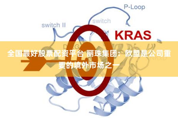全国最好股票配资平台 丽珠集团:欧盟是公司重要的境外市场之一