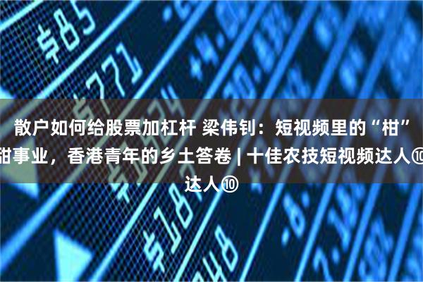 散户如何给股票加杠杆 梁伟钊：短视频里的“柑”甜事业，香港青年的乡土答卷 | 十佳农技短视频达人⑩