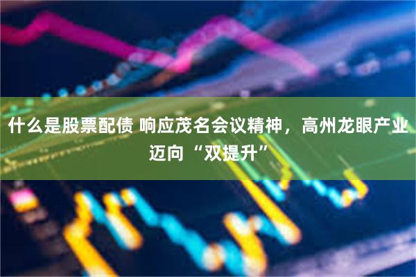 什么是股票配债 响应茂名会议精神，高州龙眼产业迈向 “双提升”