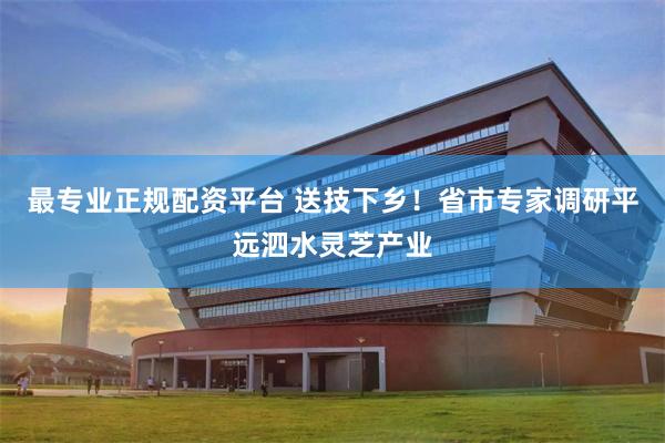 最专业正规配资平台 送技下乡！省市专家调研平远泗水灵芝产业