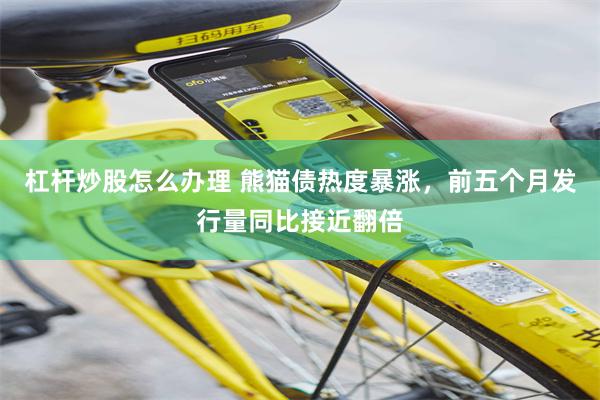 杠杆炒股怎么办理 熊猫债热度暴涨，前五个月发行量同比接近翻倍