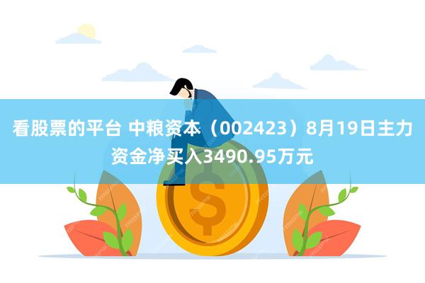 看股票的平台 中粮资本（002423）8月19日主力资金净买入3490.95万元