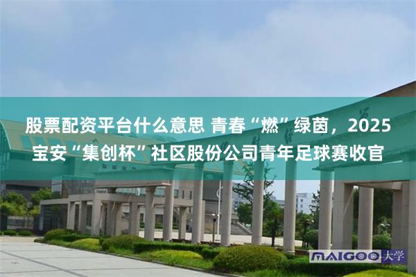 股票配资平台什么意思 青春“燃”绿茵，2025宝安“集创杯”社区股份公司青年足球赛收官