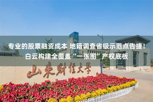 专业的股票融资成本 地籍调查省级示范点告捷!白云构建全覆盖“一张图”产权底板
