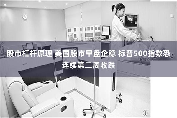股市杠杆原理 美国股市早盘企稳 标普500指数恐连续第二周收跌