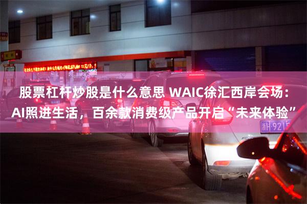 股票杠杆炒股是什么意思 WAIC徐汇西岸会场：AI照进生活，百余款消费级产品开启“未来体验”