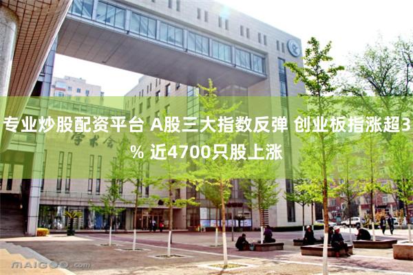 专业炒股配资平台 A股三大指数反弹 创业板指涨超3% 近4700只股上涨