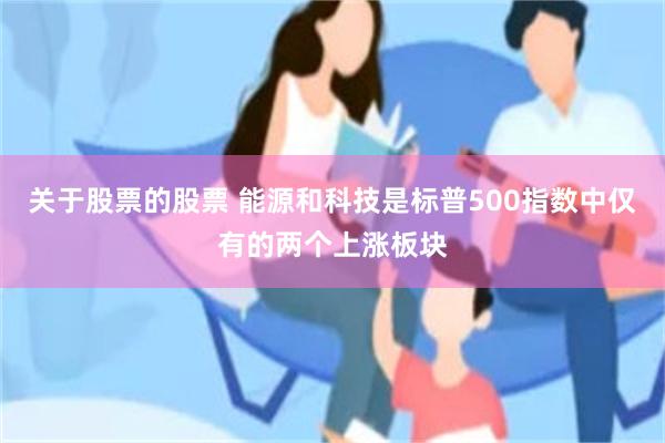 关于股票的股票 能源和科技是标普500指数中仅有的两个上涨板块