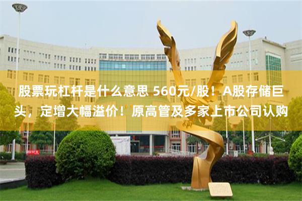 股票玩杠杆是什么意思 560元/股！A股存储巨头，定增大幅溢价！原高管及多家上市公司认购