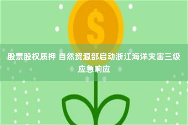 股票股权质押 自然资源部启动浙江海洋灾害三级应急响应