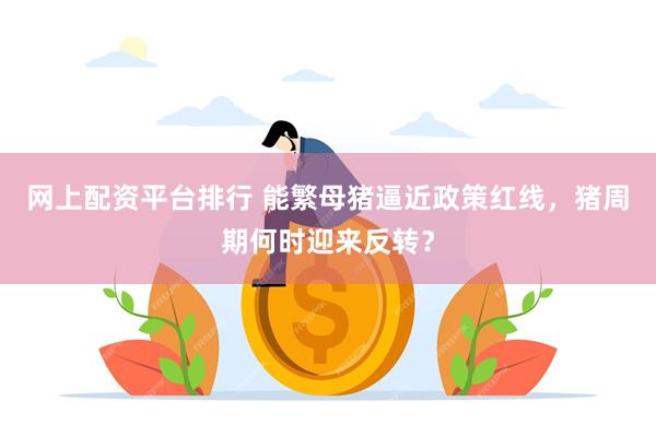 网上配资平台排行 能繁母猪逼近政策红线,猪周期何时迎来反转?