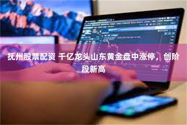 抚州股票配资 千亿龙头山东黄金盘中涨停,创阶段新高