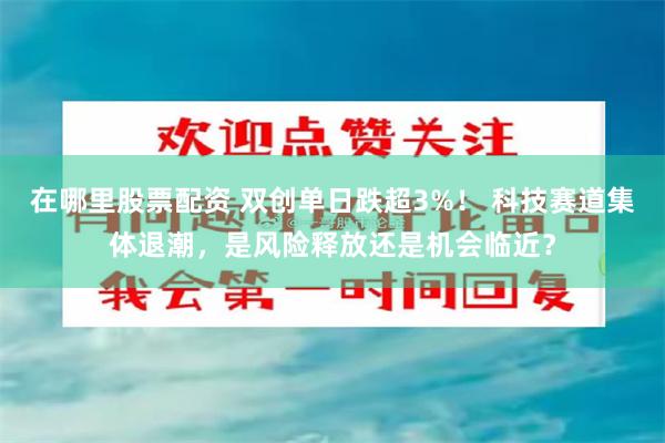 在哪里股票配资 双创单日跌超3%！ 科技赛道集体退潮，是风险释放还是机会临近？