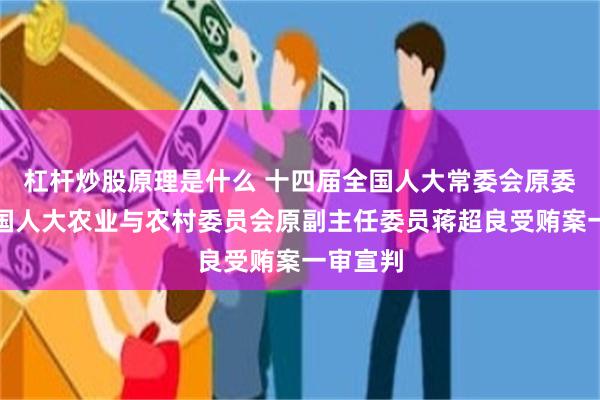 杠杆炒股原理是什么 十四届全国人大常委会原委员、全国人大农业与农村委员会原副主任委员蒋超良受贿案一审宣判