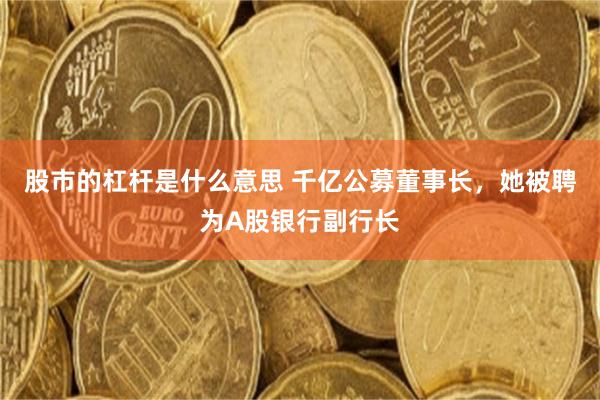 股市的杠杆是什么意思 千亿公募董事长，她被聘为A股银行副行长