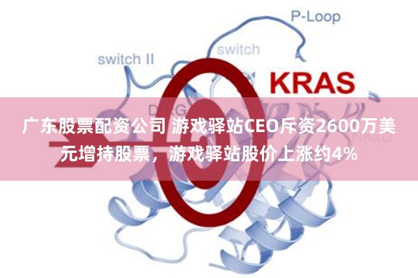 广东股票配资公司 游戏驿站CEO斥资2600万美元增持股票，游戏驿站股价上涨约4%
