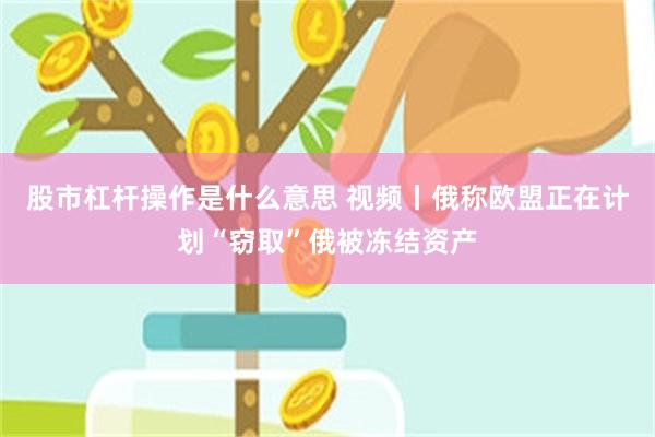 股市杠杆操作是什么意思 视频丨俄称欧盟正在计划“窃取”俄被冻结资产