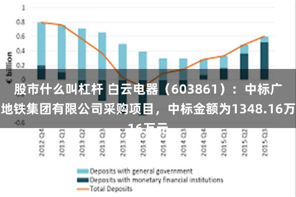 股市什么叫杠杆 白云电器（603861）：中标广州地铁集团有限公司采购项目，中标金额为1348.16万元