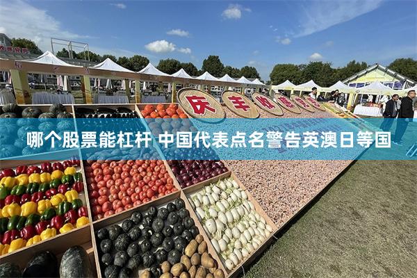 哪个股票能杠杆 中国代表点名警告英澳日等国