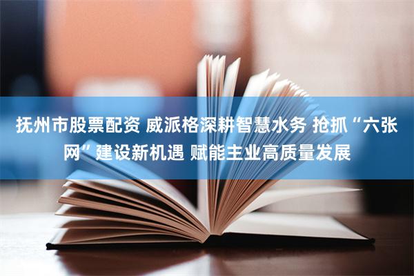抚州市股票配资 威派格深耕智慧水务 抢抓“六张网”建设新机遇 赋能主业高质量发展