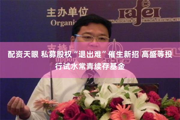 配资天眼 私募股权“退出难”催生新招 高盛等投行试水常青续存基金