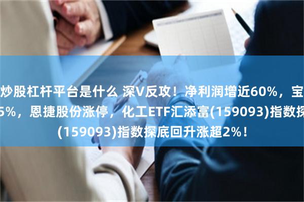 炒股杠杆平台是什么 深V反攻！净利润增近60%，宝丰能源绩后涨超5%，恩捷股份涨停，化工ETF汇添富(159093)指数探底回升涨超2%！