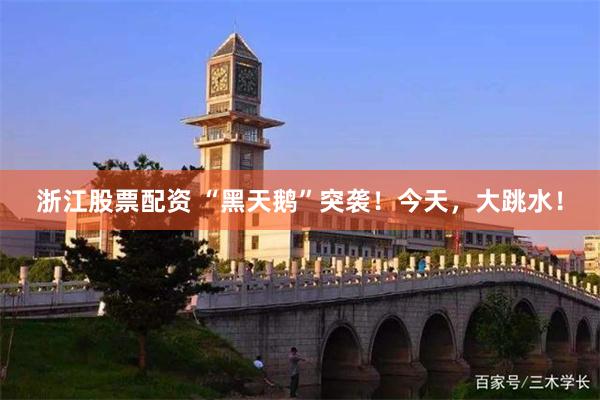 浙江股票配资 “黑天鹅”突袭！今天，大跳水！