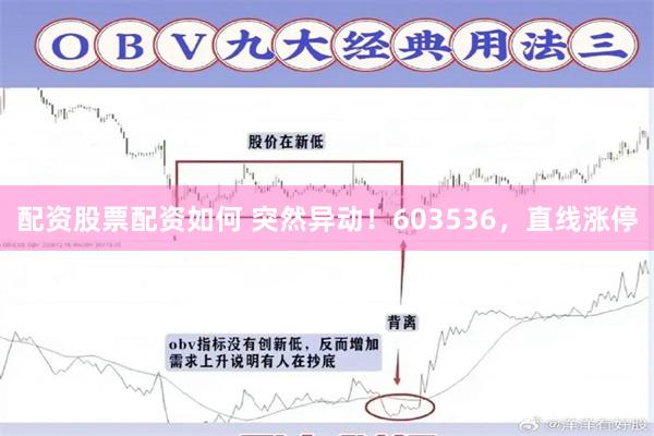 配资股票配资如何 突然异动！603536，直线涨停